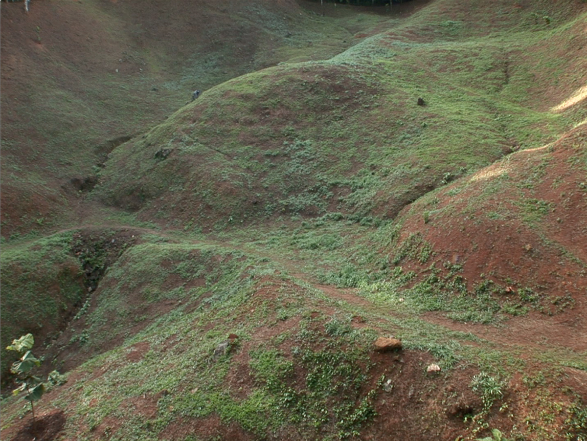 Full Screen Image